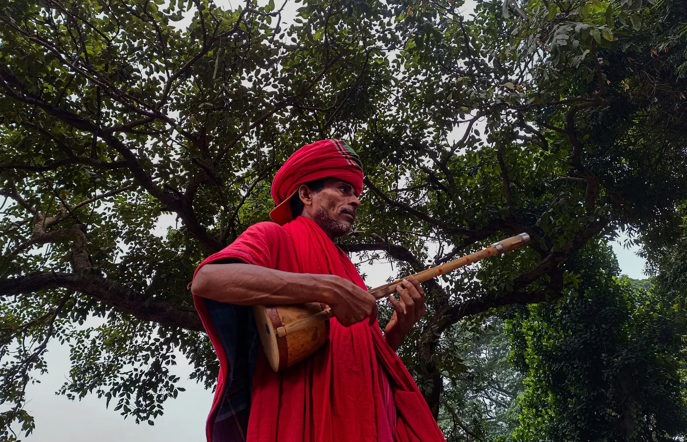A Baul singer with an ektara under a tree