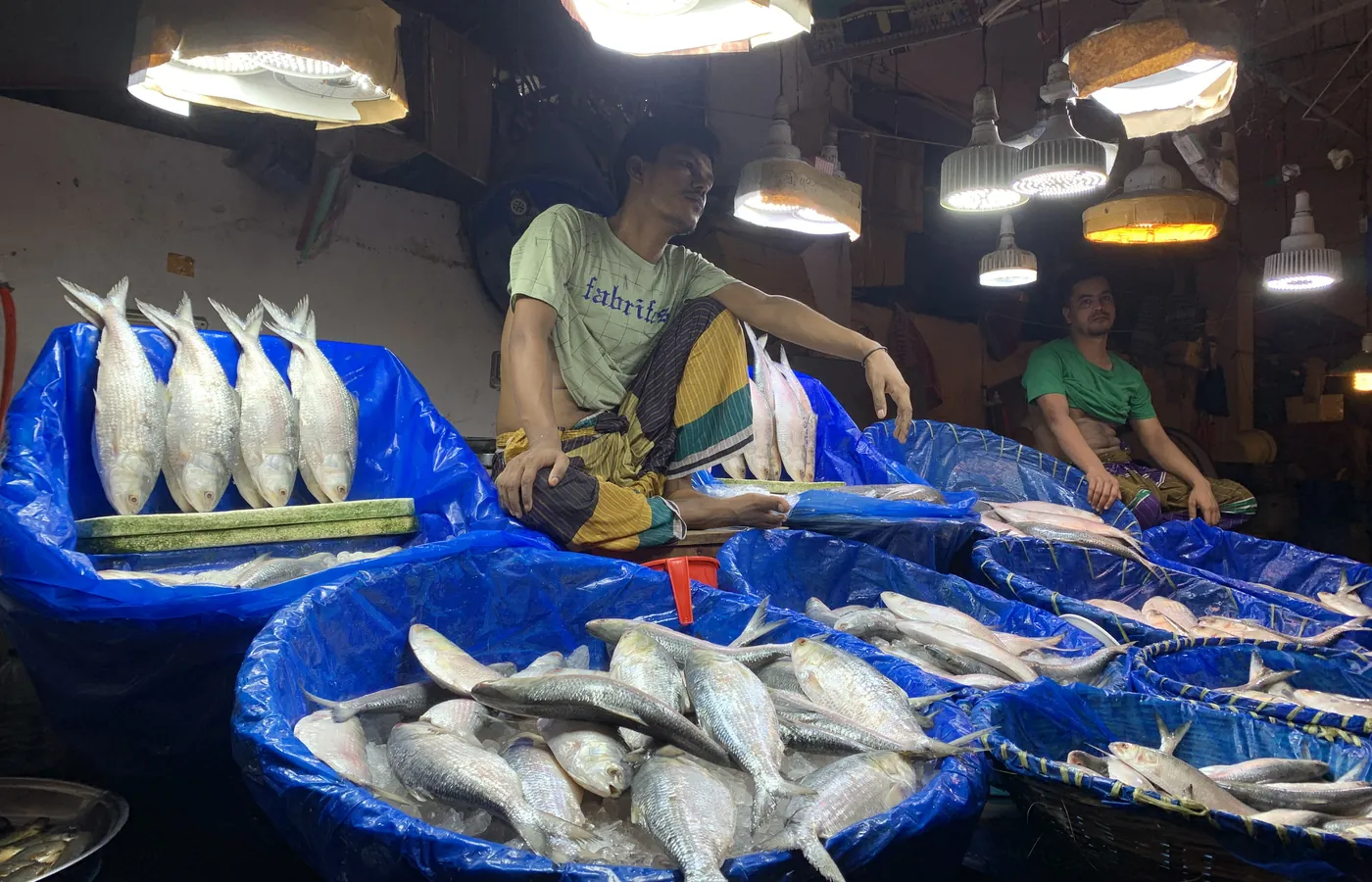 Hilsa laid out at a Bangladeshi fish market