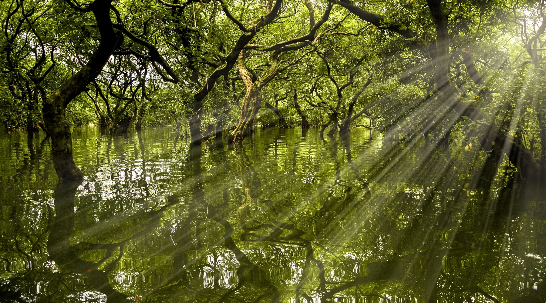Monsoon in Bangladesh